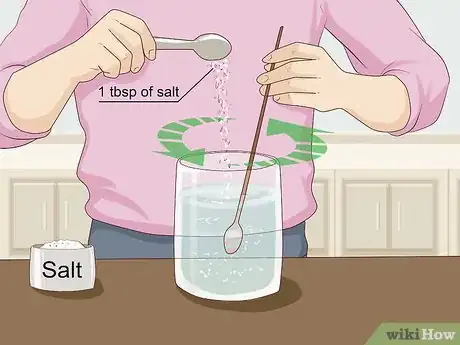 Imagen titulada Make Oxygen and Hydrogen from Water Using Electrolysis Step 2.jpeg