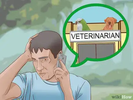 Imagen titulada Protect Small Dogs from Birds of Prey Step 12