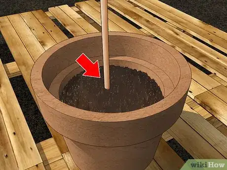 Imagen titulada Grow Dahlias in Pots Step 12