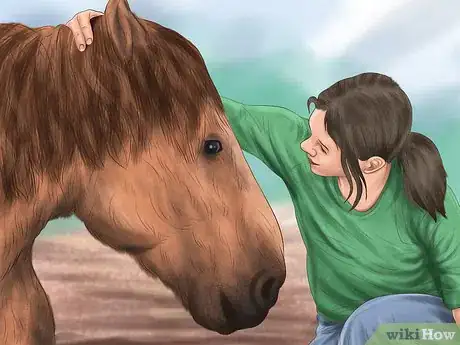 Imagen titulada Teach Your Horse to Lie Down Step 6