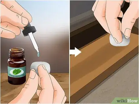 Imagen titulada Kill Cockroaches or Ants Without Pesticide Step 6