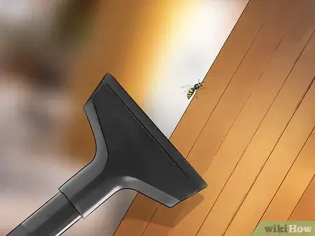 Imagen titulada Get Rid of Wasps Step 2