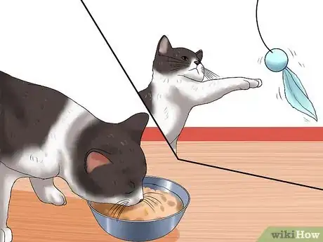 Imagen titulada Encourage Your Cat to Go to Sleep Step 1