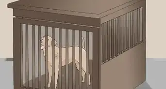 proteger las puertas de los arañazos de perro