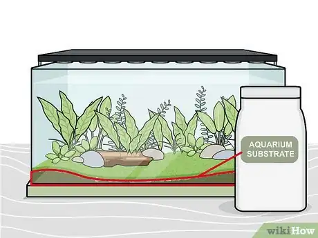 Imagen titulada Grow Freshwater Aquarium Plants Step 8