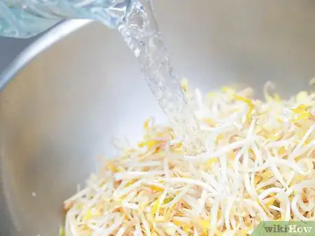 Imagen titulada Store Bean Sprouts Step 3