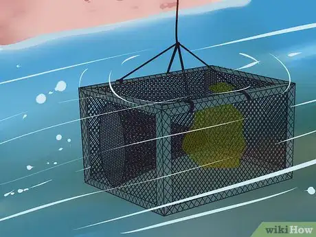 Imagen titulada Make a Fish Trap Step 13