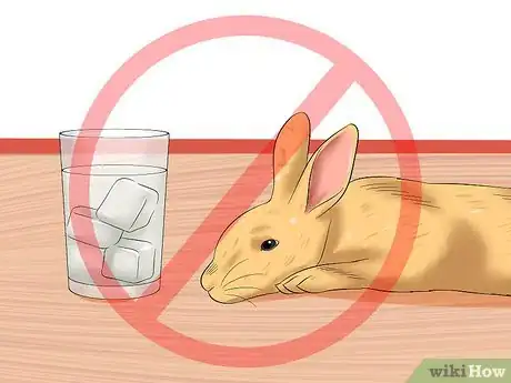 Imagen titulada Treat Heat Stroke in Rabbits Step 4