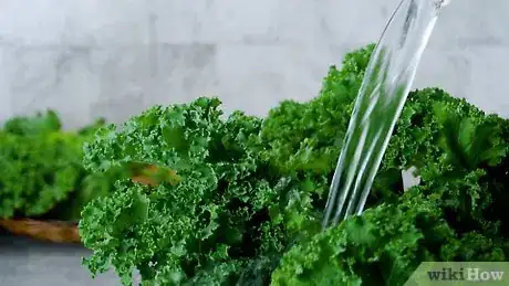 Imagen titulada Clean Kale Step 1