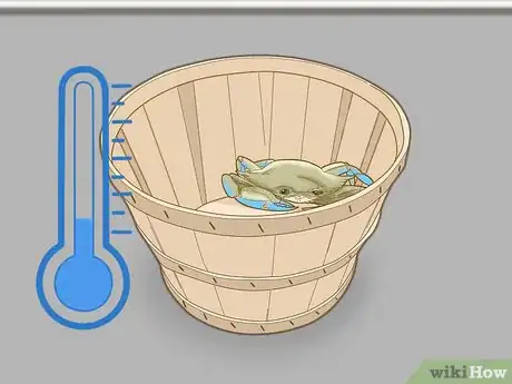 Imagen titulada Keep Blue Crabs Alive Step 7