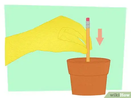 Imagen titulada Propagate Your Plants Step 9