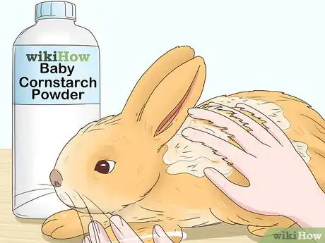 Imagen titulada Treat Diarrhea in Rabbits Step 12