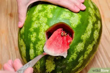 Imagen titulada Plug, Spike, or Cork a Watermelon Step 3