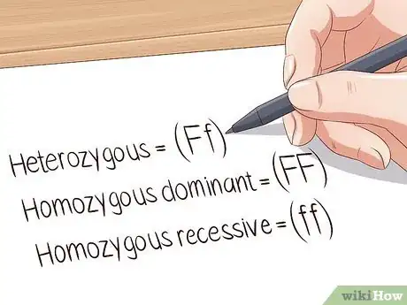 Imagen titulada Make a Punnett Square Step 3