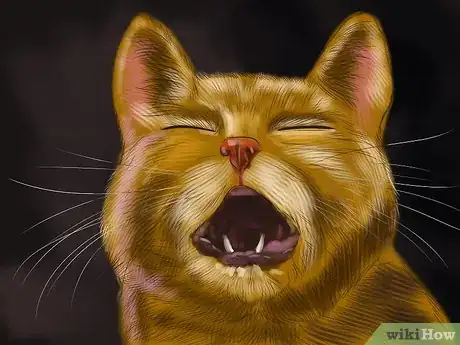 Imagen titulada Understand the Cat's Meow Step 10