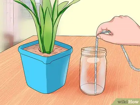 Imagen titulada Water Plants While You're Away Step 10