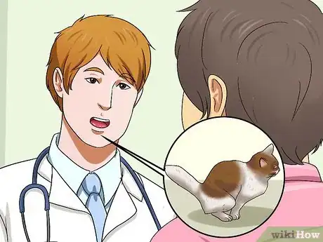 Imagen titulada Treat Bladder Stones in Cats Step 3