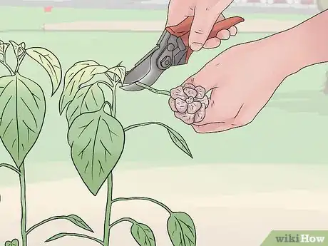 Imagen titulada Take Care of Plants Step 10