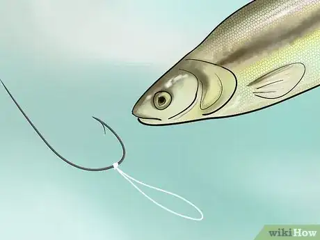 Imagen titulada Bait a Fishing Hook Step 20