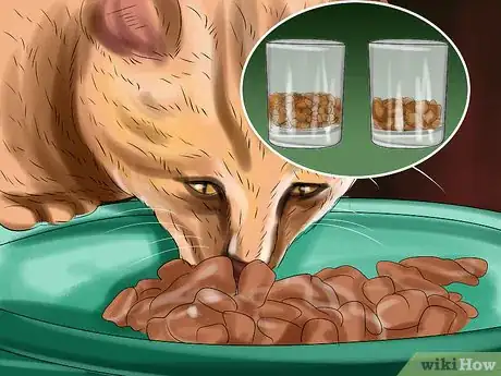 Imagen titulada Encourage Your Cat to Eat Step 10