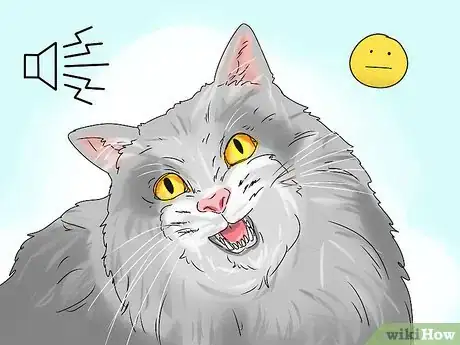 Imagen titulada Identify a Siberian Cat Step 8