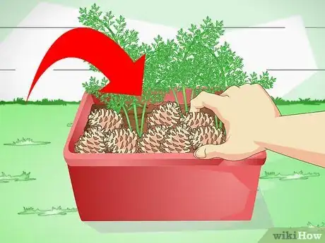 Imagen titulada Keep a Cat out of Potted Plants Step 3