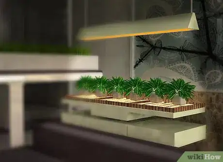 Imagen titulada Design a Successful Indoor Garden Step 3Bullet3