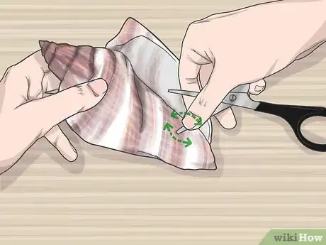 Imagen titulada Drill a Hole in a Seashell (Without a Drill) Step 9