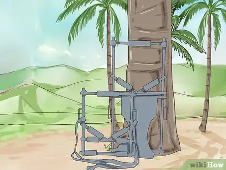 Imagen titulada Climb a Coconut Tree Step 13