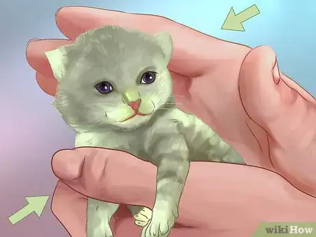 Imagen titulada Take Care of Kittens Step 11