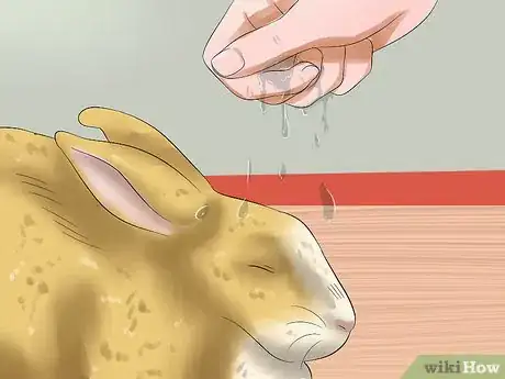 Imagen titulada Treat Heat Stroke in Rabbits Step 2