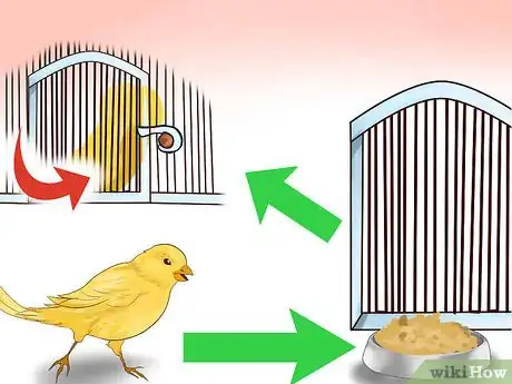 Imagen titulada Keep a Canary Entertained Step 9