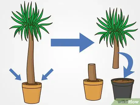 Imagen titulada Prune Yucca Plants Step 5