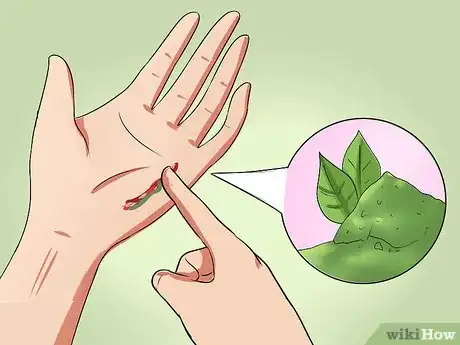 Imagen titulada Heal Cuts Quickly (Using Easy, Natural Items) Step 14