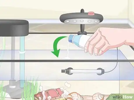 Imagen titulada Set up a Guppy Tank Step 10