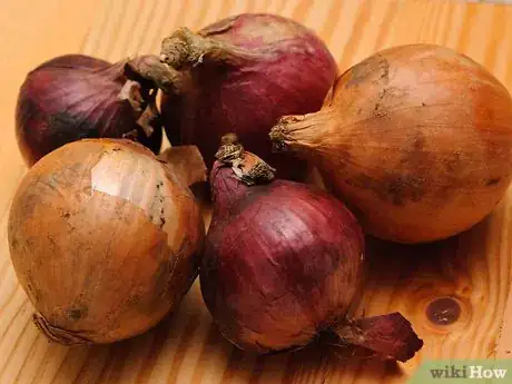 Imagen titulada Store Onions Step 10