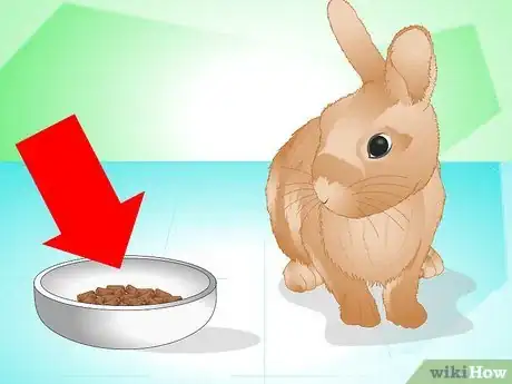 Imagen titulada Determine if Your Rabbit Is Sick Step 1