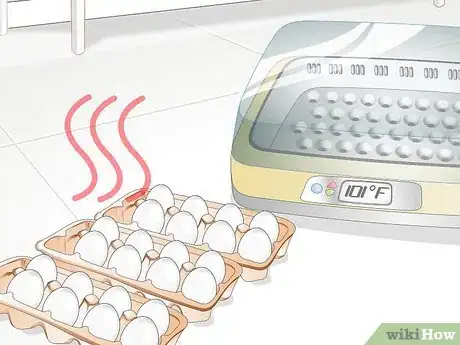 Imagen titulada Use an Incubator to Hatch Eggs Step 10