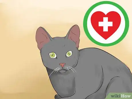 Imagen titulada Get Your Cat to Know and Love You Step 14