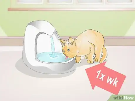 Imagen titulada Train Your Cat to Use a Pet Fountain Step 4