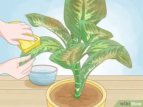 Imagen titulada Prune Houseplants Step 10