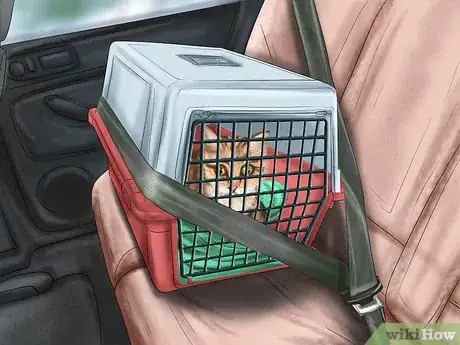 Imagen titulada Keep a Cat Safe in the Car Step 3