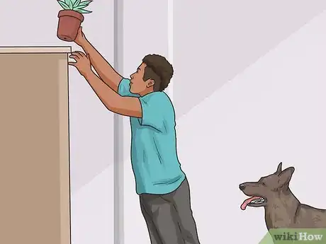 Imagen titulada Stop Your Dog from Eating Your Plants Step 1