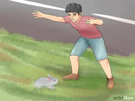 Imagen titulada Catch a Pet Rabbit Step 15