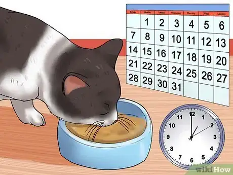 Imagen titulada Encourage Your Cat to Go to Sleep Step 7