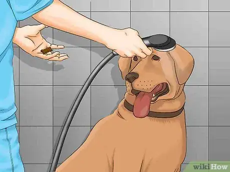 Imagen titulada Bathe a Dog in a Shower Step 10