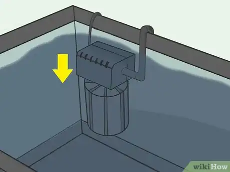 Imagen titulada Raise Brine Shrimp Step 7