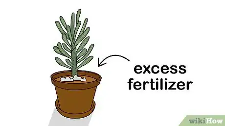 Imagen titulada Revive an Overfertilized Plant Step 4