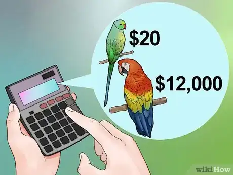 Imagen titulada Decide if a Parrot Is Right for You Step 9