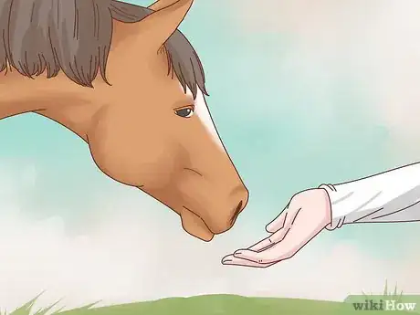 Imagen titulada Take Care of Your Horse Step 16